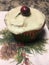 Festive decorated Christmas cupcake with cranberry on top