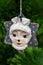 Festive decoration in the shape of a leveret mask, on a Christmas tree background