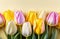 festive design, lively spring flowers. many beautiful tulips with blossom on colorful background