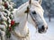 Festive Elegance: White Horse Wearing Christmas Wreath in the Snow.