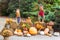 Festive fall decor with scarecrows, pumpkins, mums and hay bales.