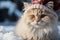 Festive Feline: Adorable White Cat Wearing Santa Hat AI Generated