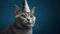 Festive feline, cat with birthday hat on blue