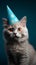 Festive feline, cat with birthday hat on blue