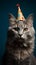 Festive feline, cat with birthday hat on blue