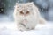 Festive Feline: Cute White Cat with Santa Hat AI Generated