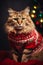 Festive Feline Fashion: A Maine Coon Model\'s Pompous Pose in a R