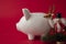 Festive financial savings concept. Piggy bank with Christmas decorations