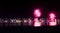 Festive firework over seaside water