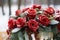 Festive floral charm Winter wedding decor featuring beautiful red roses