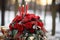 Festive floral charm Winter wedding decor featuring beautiful red roses
