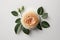 Festive flower English rose composition on a white background. Illustration AI Generative