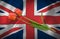 festive flowers on Great Britain flag background