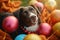 Festive furry friend Dog enjoys festivities among colorful decorations