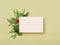 Festive greeting card white paper olive background