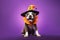 Festive Halloween dressed dog, French Bulldog, in purple background