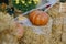 Festive Halloween street decor. Pumpkins and autumn flowers with cobweb on hay bale, stylish rustic decor of city street. Happy