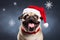 Festive happy French bulldog in red Christmas hat on minimal dark blue background with snow flakes
