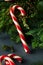 Festive Homemade Candy Canes