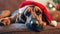 Festive Hound: Bloodhound in a Santa Hat