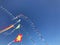 Festive kites against a blue clear sky