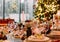 Festive large table decorated christmas symbols party