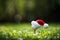 Festive-looking golf ball on tee with Santa Claus` hat