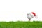 Festive-looking golf ball on tee with Santa Claus` hat