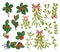 Festive Mistletoe And Holly Berry Branches Set. Holiday Decor, Features Vibrant Red Berries And Lush Green Leaves