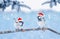 Festive natural background with two little funny birds in elegant red Santa hats in the Christmas garden under the branches of a