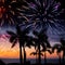 Festive New Year\'s fireworks over the tropical island