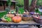 A festive orange pumpkin for Halloween from the collection of fresh harvests from the garden lies in the hay among the woven baske