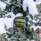 Festive outdoor Christmas tree covered with snow