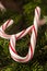 Festive Peppermint Candy Canes