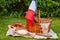 Festive picnic for the national holiday of France 14 July with French flag