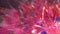 Festive pink blurred Chromatic Aberration Rays. Prism lights bokeh. Lens Flares Background