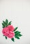 Festive pink peony flower composition on the white wooden background. Floral texture mockup. Flat lay, overhead, top view.