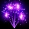 Festive purple firework background.
