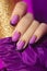 Festive purple French manicure .