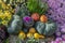 Festive rustic composition with fresh bright pumpkins and flowers, autumn background, selective focus. Thanksgiving Day