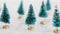 Festive season, group of miniature Christmas trees and camera panning horizontally with focus switching