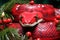 Festive Snake with Gorgeous Christmas Decorations and Copy Space for Custom Designs
