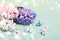 Festive Spring Floral Background. Hyacinth flowers and bokeh