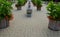 The festive square with rows of flower pots leads visitors along the promenade of the spa park to the splashing fountain. wood-pan