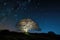 a festive, twinkling tree against a starry night sky