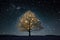a festive, twinkling tree against a starry night sky