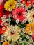 Festive vibrant floral background with a large arrangement of colorful flowers including dahlias and gerbera daisies for