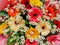Festive vibrant floral background with a large arrangement of colorful flowers including dahlias and gerbera daisies for