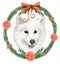 Festive watercolor illustration, white dog, Samoyed Laika in the decoration of a wreath of fir branches