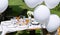 Festive white table setting in the backyard garden. Summer children's party